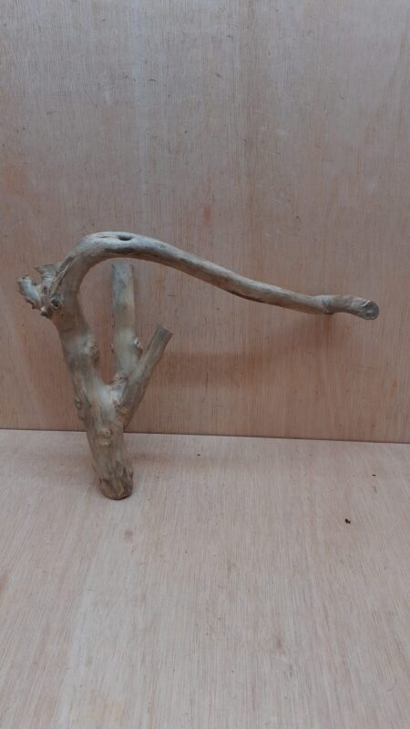 Java Wood - Double Stem - Medium 18