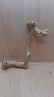 Java Wood - Single Stem - Large 13