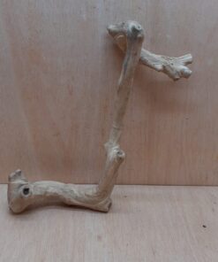 Java Wood - Single Stem - Large 13