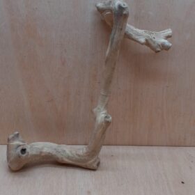 Java Wood - Single Stem - Large 13