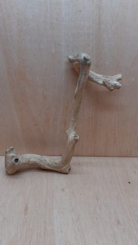 Java Wood - Single Stem - Large 13