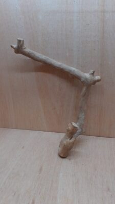 Java Wood - Single Stem - Large 16