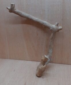 Java Wood - Single Stem - Large 16