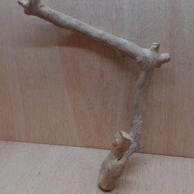 Java Wood - Single Stem - Large 16