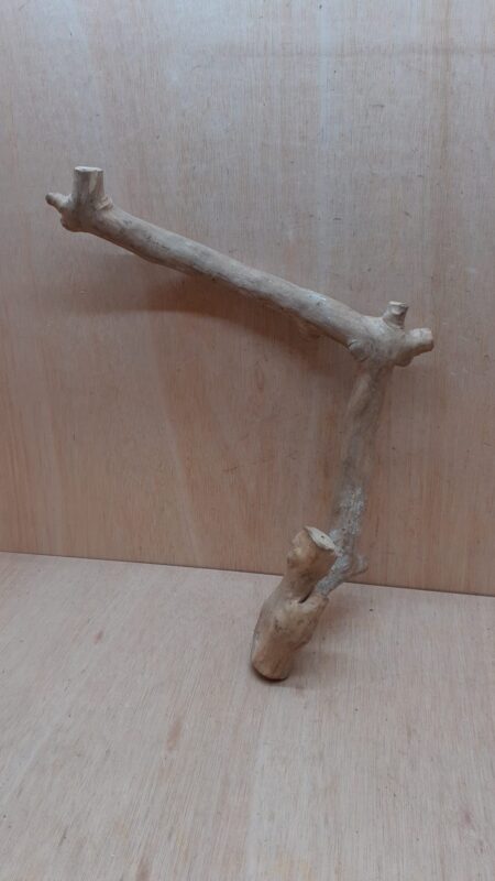 Java Wood - Single Stem - Large 16