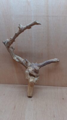 Java Wood - Double Stem - Large 11