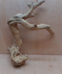 Java Wood - Double Stem - Large 16