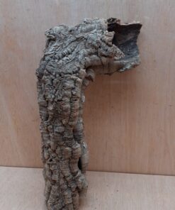 Small Cork Tube - Upto 40cm - 21