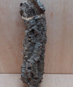 Small Cork Tube - Upto 40cm - 27