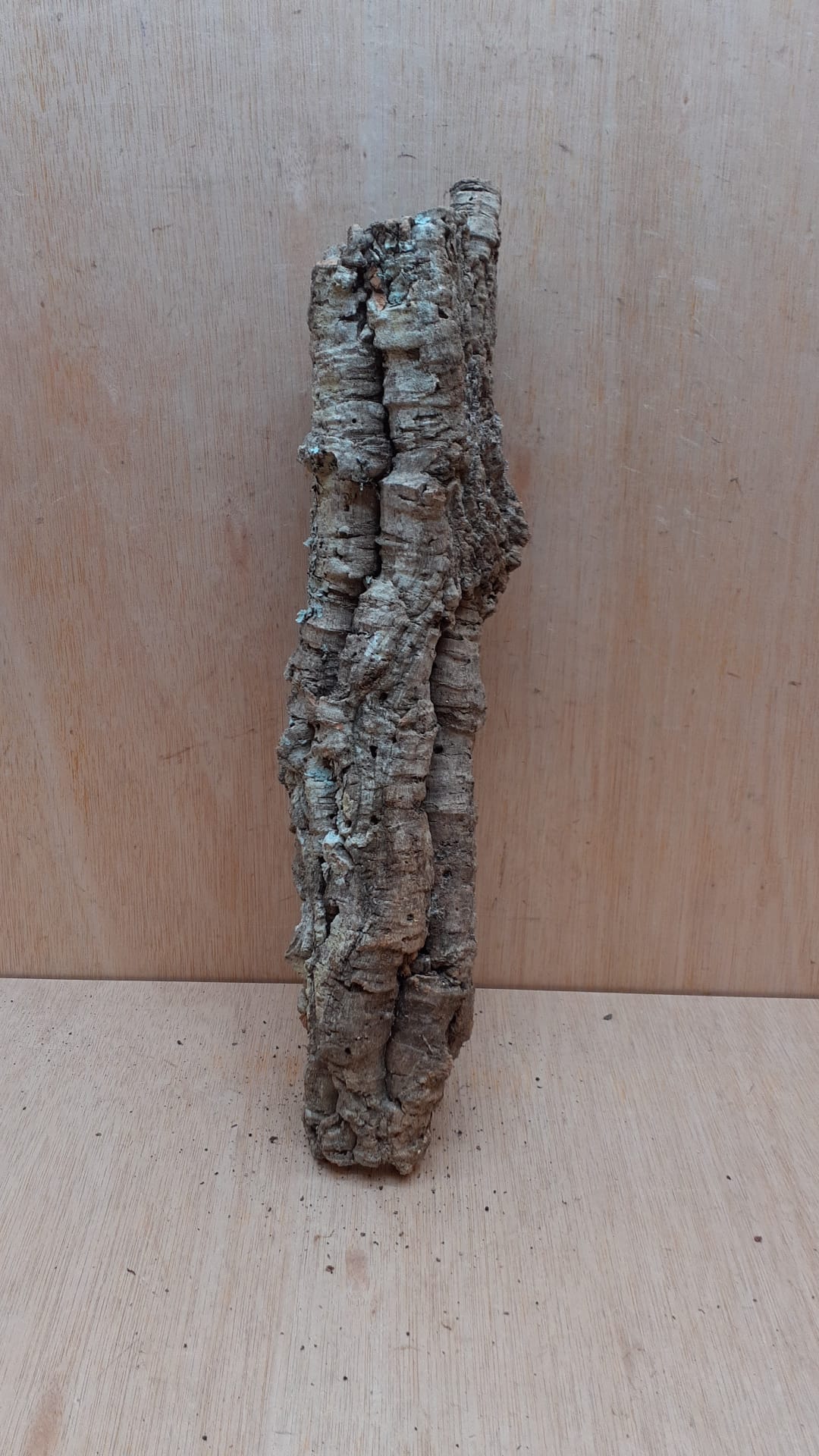 Small Cork Tube - 40-60cm - 22