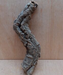 Small Cork Tube - Upto 40cm - 22