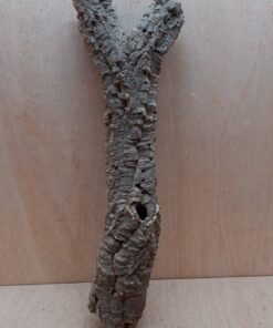 Small Cork Tube - 40-60cm - 28