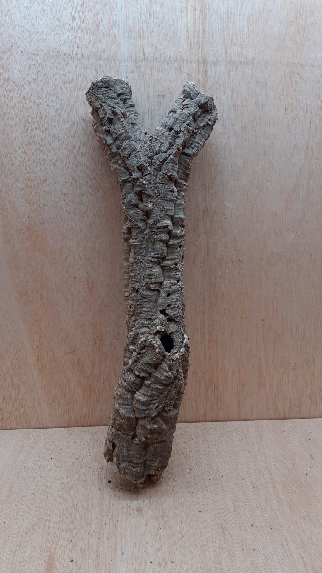 Small Cork Tube - 40-60cm - 28