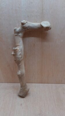 Java Wood - Single Stem - Large 20