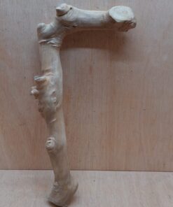 Java Wood - Single Stem - Large 20