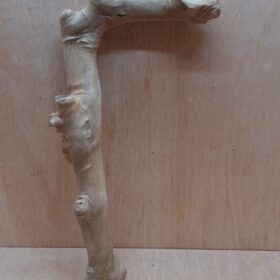 Java Wood - Single Stem - Large 20