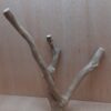 Java Wood - Double Stem - Large 13