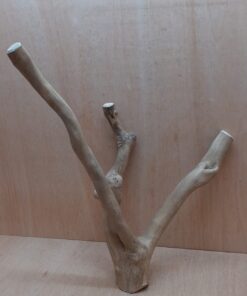 Java Wood - Double Stem - Large 13