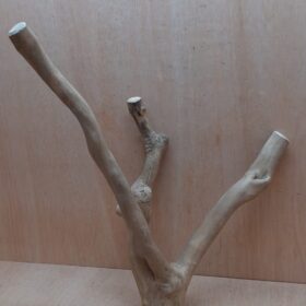 Java Wood - Double Stem - Large 13