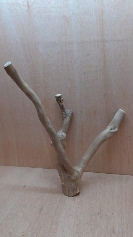 Java Wood - Double Stem - Large 13