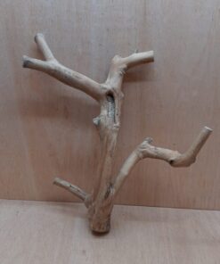 Java Wood - Double Stem - Large 14