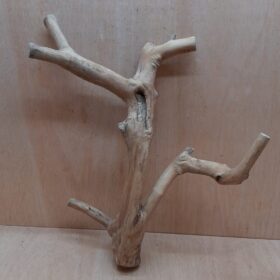 Java Wood - Double Stem - Large 14