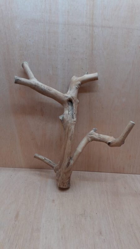 Java Wood - Double Stem - Large 14