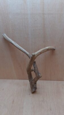 Java Wood - Double Stem - Large 16