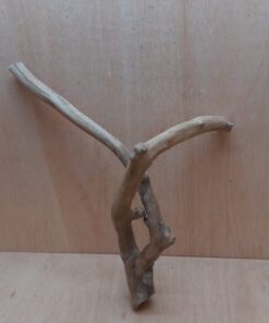 Java Wood - Double Stem - Large 16