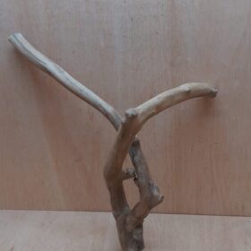 Java Wood - Double Stem - Large 16