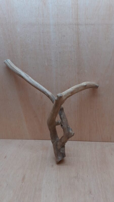Java Wood - Double Stem - Large 16