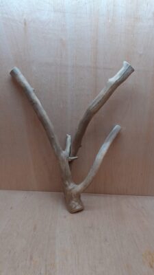 Java Wood - Double Stem - XL 12