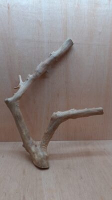 Java Wood - Double Stem - XL 18