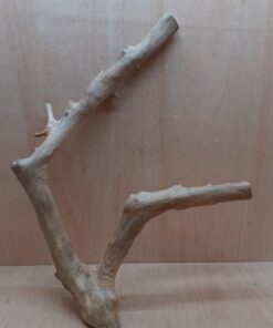 Java Wood - Double Stem - XL 18