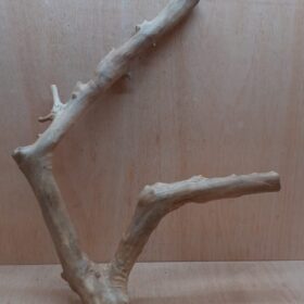 Java Wood - Double Stem - XL 18