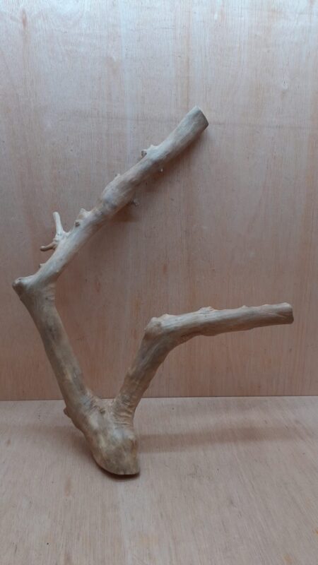 Java Wood - Double Stem - XL 18