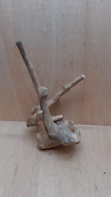 Java Wood - Double Stem - Medium 12