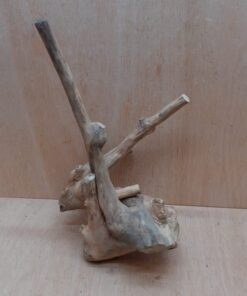 Java Wood - Double Stem - Medium 12