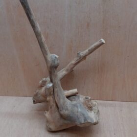 Java Wood - Double Stem - Medium 12