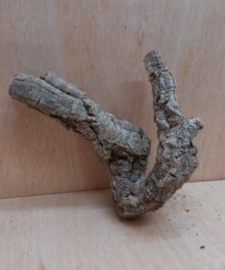 Small Cork Tube - Upto 40cm - 21