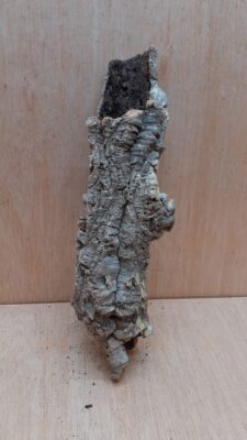 Small Cork Tube - Upto 40cm - 22