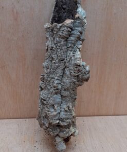 Small Cork Tube - Upto 40cm - 22