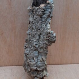 Small Cork Tube - Upto 40cm - 22