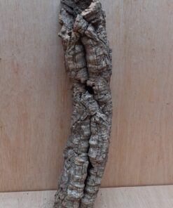 Small Cork Tube - Upto 40cm - 24