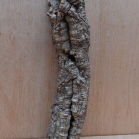 Small Cork Tube - Upto 40cm - 24
