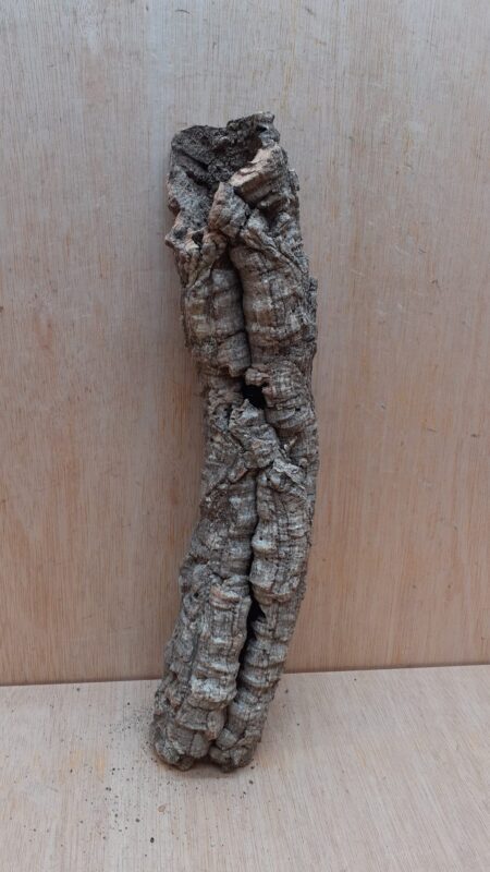 Small Cork Tube - Upto 40cm - 24