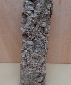 Small Cork Tube - Upto 40cm - 27