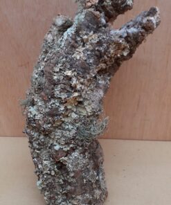 Small Cork Tube - Upto 40cm - 29