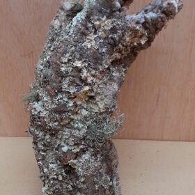 Small Cork Tube - Upto 40cm - 29