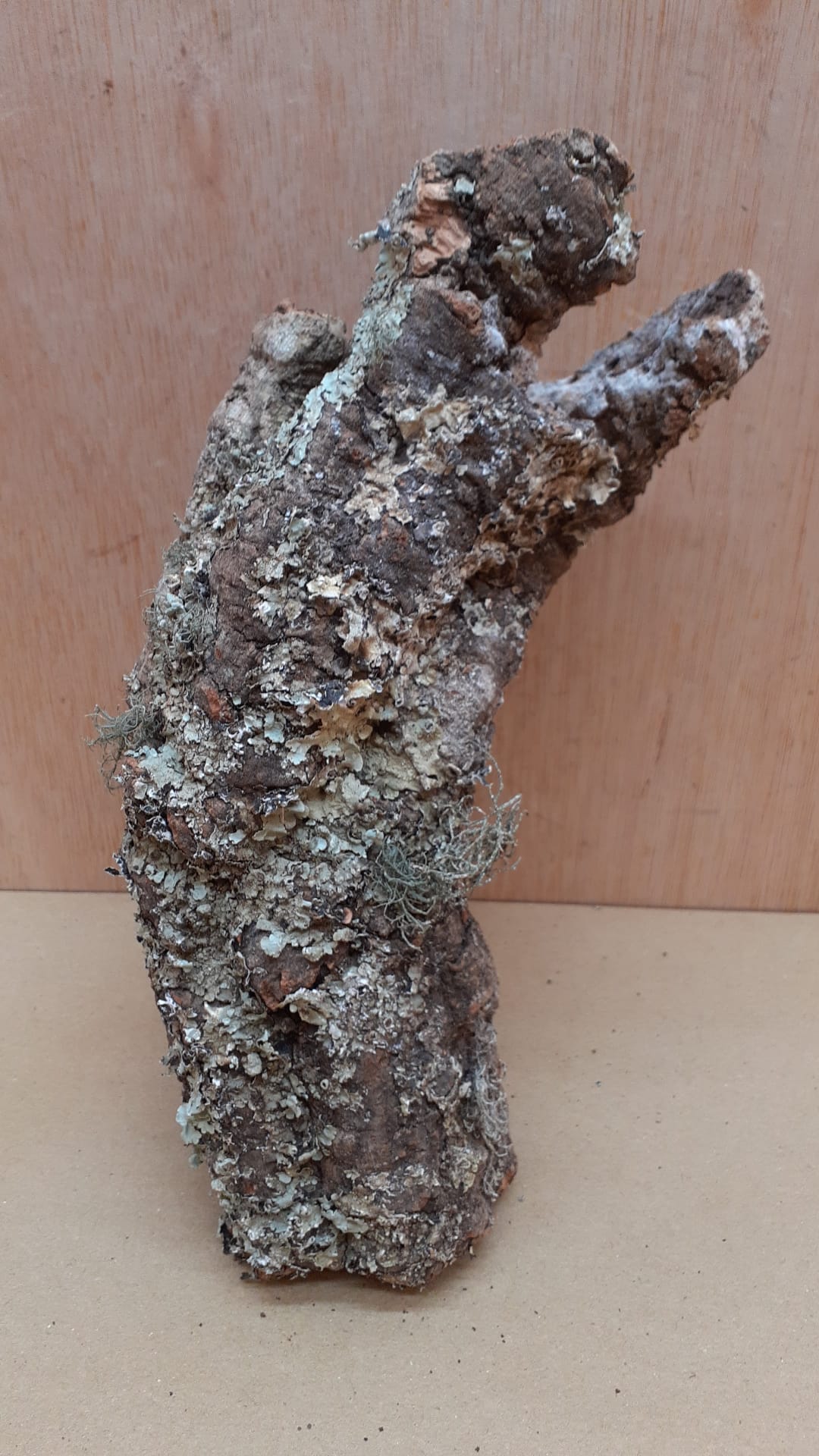 Small Cork Tube - Upto 40cm - 29